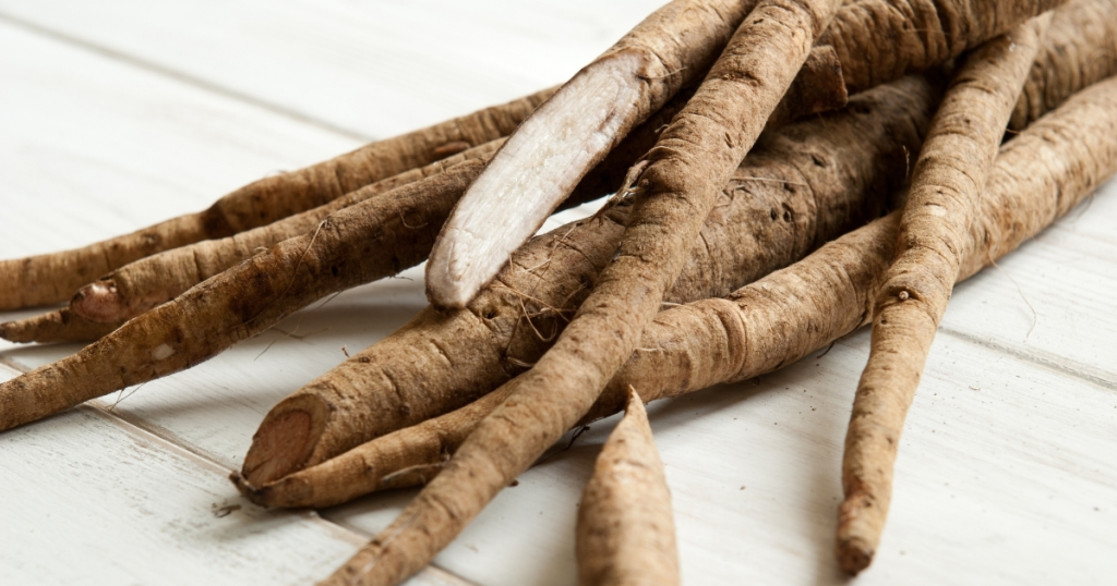 The Benefits of Burdock Root