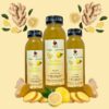 ginger lemonade- sea moss infused